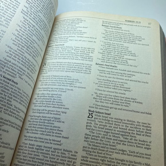 2007 Pink Holy Bible Faux Leather - Picture 5 of 7